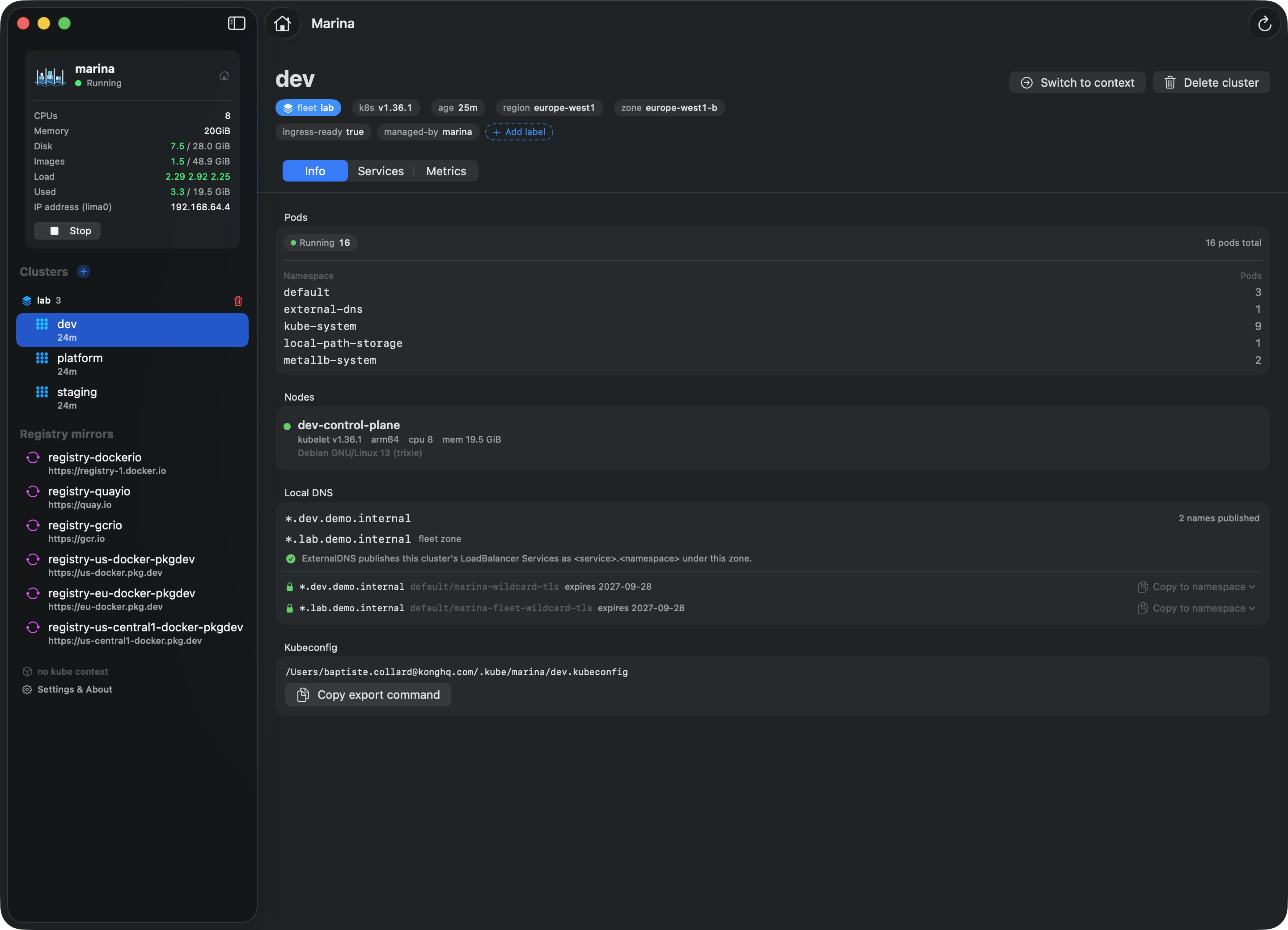 marina-ui cluster Info tab: nodes, pods by namespace, kubeconfig path, and the last-action log